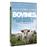 Bovines ou la vraie vie des vaches