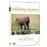 Les Chasseurs de singes