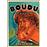 Boudu sauvé des eaux - DVD Zone 1