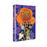 That 70's Show - Saison 5