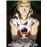 Fullmetal Alchemist : Brotherhood - Coffret Partie 4