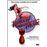 Hamburger film sandwich - DVD Zone 1