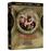 Stargate SG-1 - Saison 8 - coffret 8B