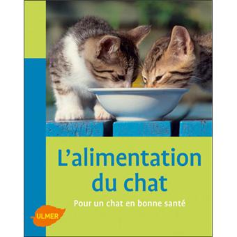 Chat en ligne gratuit ado
