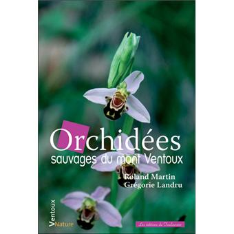 a la rencontre des orchidées sauvages de rhône-alpes