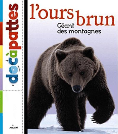 Couverture de L'ours brun : géant des montagnes