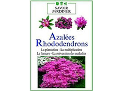 Azalées et rhododendrons