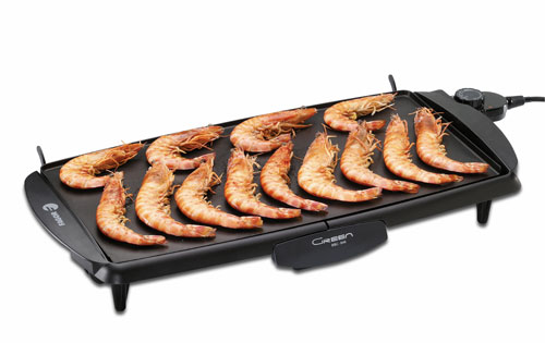 Plancha électrique fagor bbc 846 