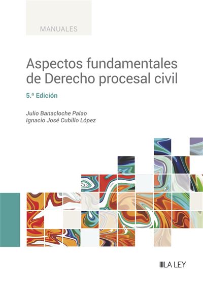 Aspectos Fundamentales De Derecho Procesal Civil Edici N