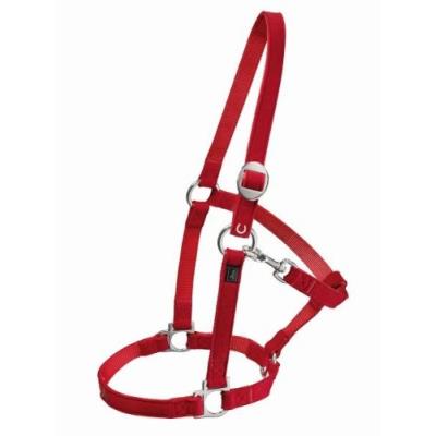 Hunter 50440 Licol Pour Cheval pour 50