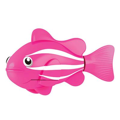 Robo Fish le poisson clown rose Blinda pour 25