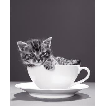 votre Petit imprimé Chat dans une tasse