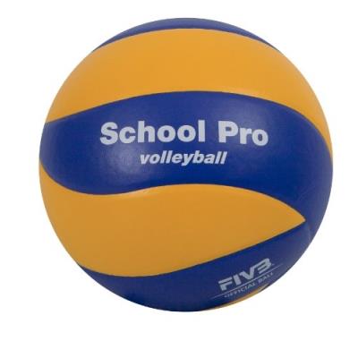 Mikasa 1120 Mva 390 School Pro Ballon De Volley Taille 5 pour 61