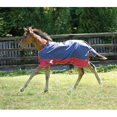 Masta Avante Chemise De Pluie Légère Poney Bleu Marine Rouge 3,3 M pour 72