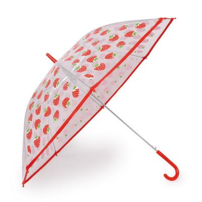 Parapluie fraise Clmery pour 24
