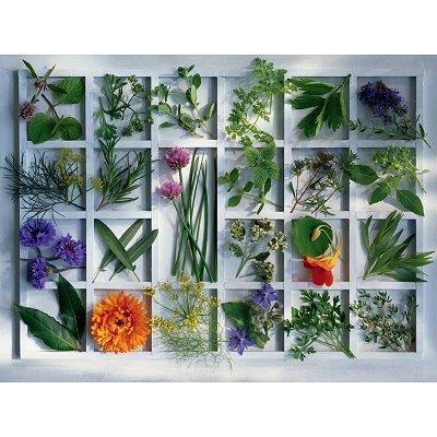 Puzzle 1500 Pices : Herbes aromatiques, Ravensburger pour 352