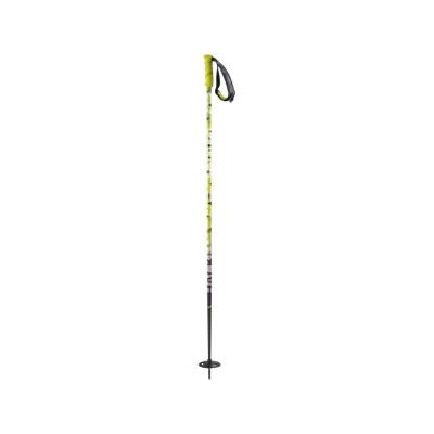 Baton Ski De Randonnee Hacker Black/greensalomon pour 39