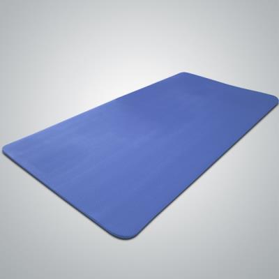 Tapis De Fitness Bleu 190 X 100 X 1 pour 45