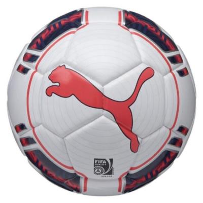 Puma Evopower 1 Balle (fifa Approved) Ballon De Football Pour Foot En Salle-blanc-bright-idéal Plasma 4 082234 15 pour 44