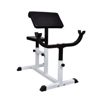 Pupitre À Biceps Curl Barre Banc De Musculation Fitness Biceps 0702004 pour 120