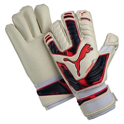 Evopower Protect 2 - Gants De Gardien De But Blanc Peacoat Plasma Blanc White Peacoat Bright Plasma 11 pour 82