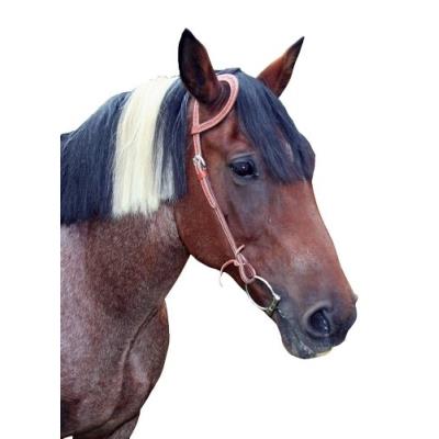 Kerbl 32983 Filet Une Oreille Pour Poney Dakota (marron) pour 38