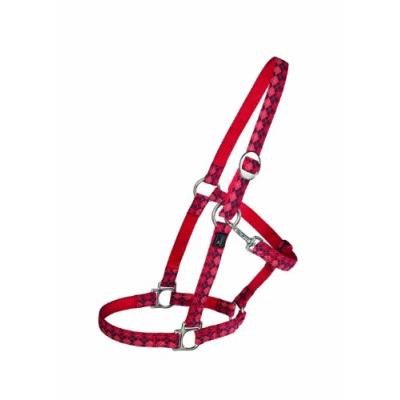 Halter Krazy Scotty Warm Licol En Nylon pour 41