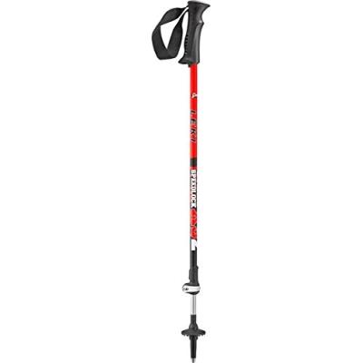 Leki Vario Xs Bâton De Trekking Noir Blanc Taille 78-110 Cm pour 65