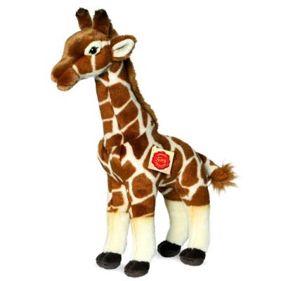 Peluche Girafe 38 cm pour 36