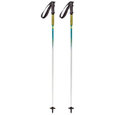 Salewa Bâtons De Ski Fire Trail Pole Vert 115 pour 110