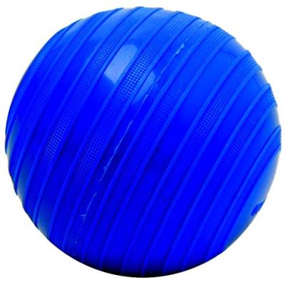 Togu Stonie Médecine Ball Bleu 1.5 Kg pour 43