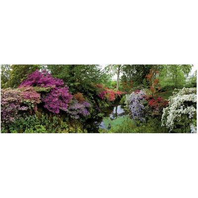 Heye - Puzzle 6000 pices panoramique - Alexander von Humboldt : Bodnant Garden pour 94