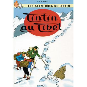Tintin Tintin au Tibet Coffret DVD DVD Zone 2 Fnac.com