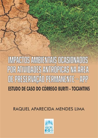 Impactos Ambientais Ocasionados Por Atividades Antr Picas Na Rea De