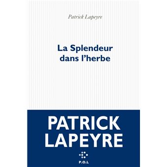 Rencontre avec la splendeur fnac