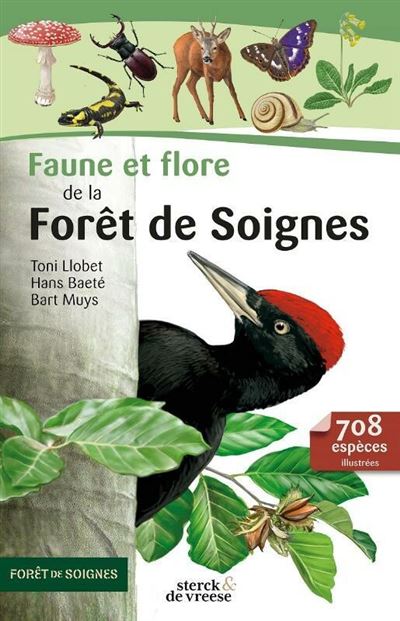 Faune Et Flore De La For T De Soignes Cartonn Bart Muys Toni