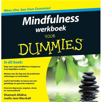 Voor Dummies Mindfulness werkboek voor Dummies broché Achat Livre