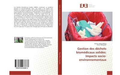 Gestion Des Dechets Biomedicaux Solides Impacts Socio Environnementaux