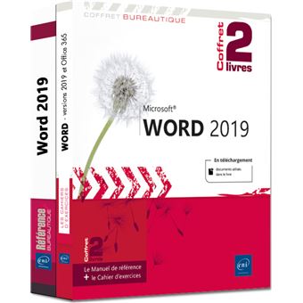 Word versions 2019 et Office 365 broché Pierre Rigollet Livre