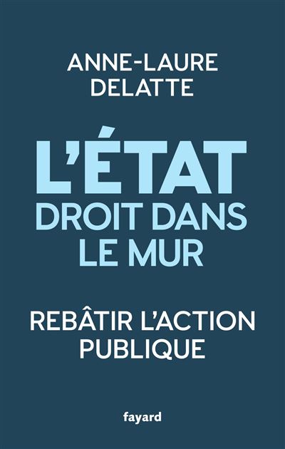 L Tat Droit Dans Le Mur Reb Tir L Action Publique Broch Anne