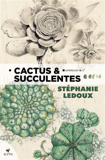 Cactus Succulentes Reli St Phanie Ledoux Achat Livre Fnac