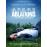 Ablations DVD