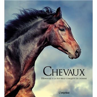 Chevaux Hommage à plus belle conquête de l homme relié Collectif