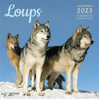 Calendrier loups 2023 broché Collectif Achat Livre fnac