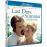 Last Days of Summer - Combo Blu-ray + DVD