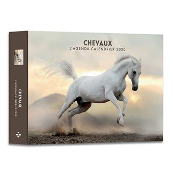 L Agenda Calendrier Chevaux Reli Collectif Achat Livre Fnac