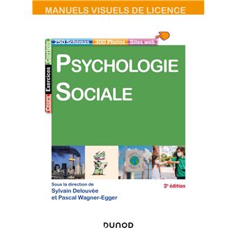 Manuel Visuel De Psychologie Sociale Broch Sylvain Delouv E