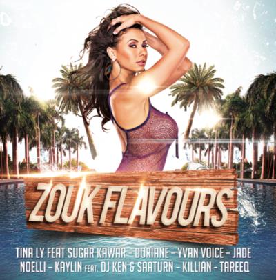 Zouk Flavours Compilation Musique Antillaise CD Album Achat