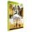 Deux Frères DVD
