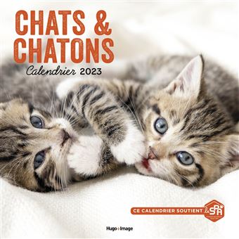 Calendrier Mural Chats et Chatons 2023 broché Collectif Achat